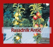 Batajnica - Istina o sadnji voća u jesen