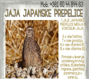 Batajnica - Jaja japanskih prepelica (oplodjena)